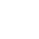 Audit delle aziende Fortune 500