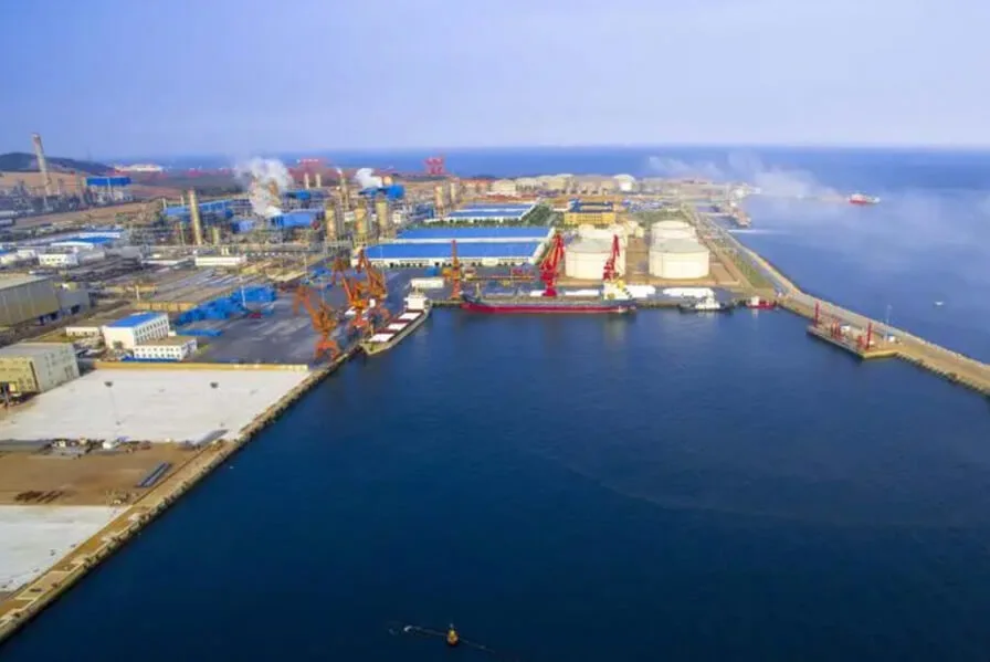 Sistema di tracciamento elettrico del forno a carbone termico per un progetto di poliestere da 1 milione di T/Y di Yisheng Dahua petrolchimico Co., Ltd.