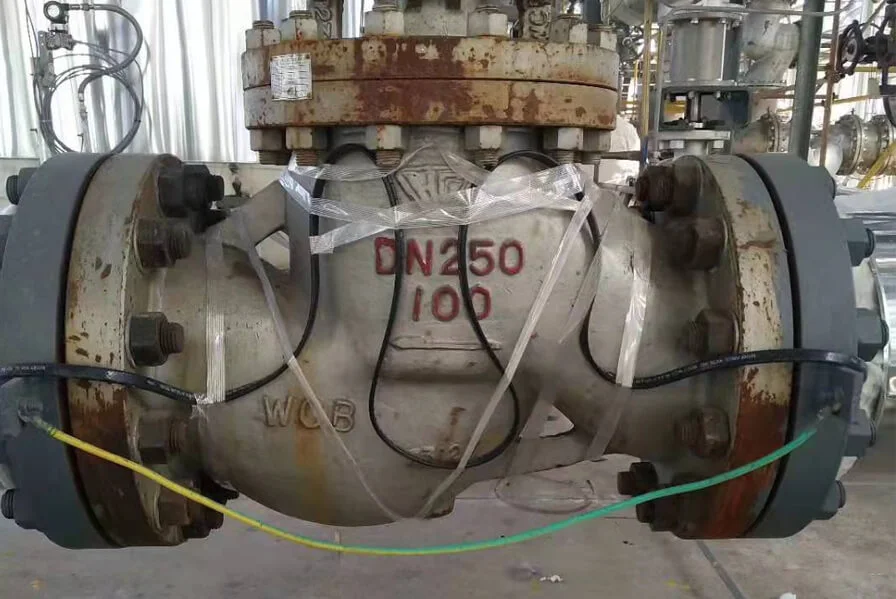 Materie prime per erbicidi verdi, efficienti e a bassa tossicità 3,000 T/Y e progetto intermedio chimico 3,500 T/Y della Mongolia interna Xinongji Science and Technology Co., Ltd.